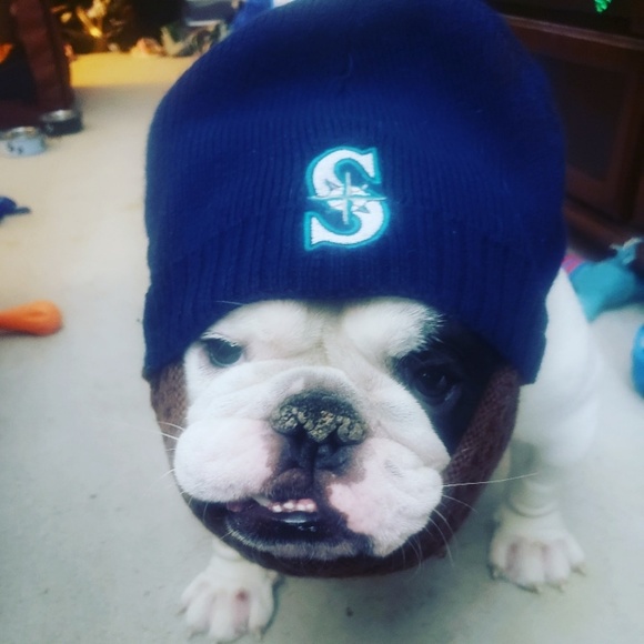shiggaty